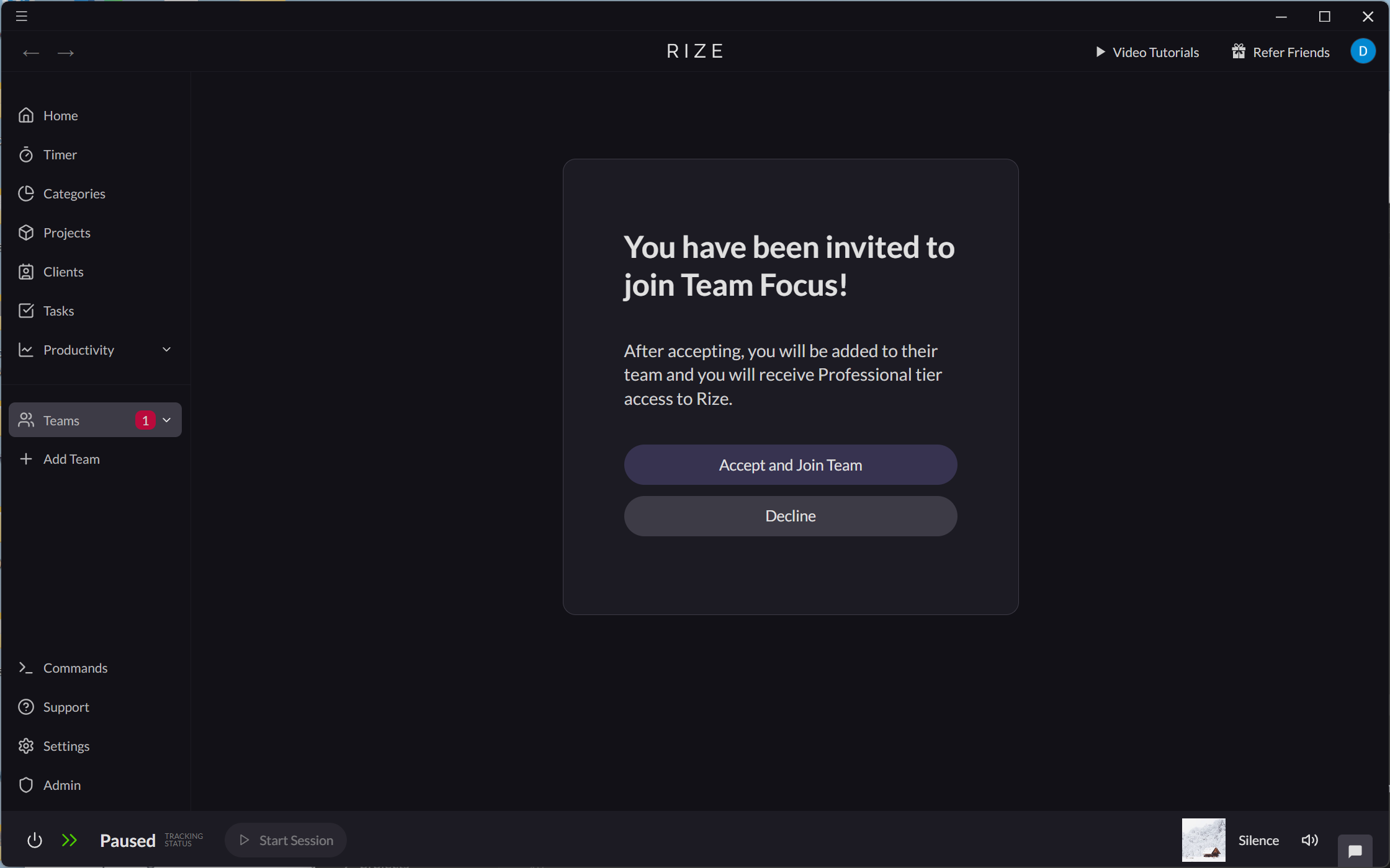 Screenshot showing the team invitation in the Rize dashboard